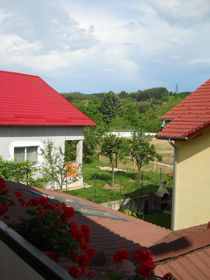 Casa Domneasca Hotel Curtea de Argeş Cameră foto